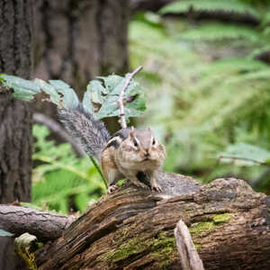 september_elk_river_biathlon_0017.jpg